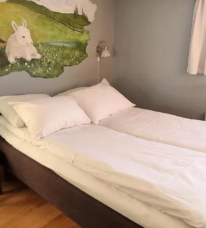 Erzscheidergaarden 3* Røros