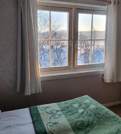 Hotel Erzscheidergaarden Roros