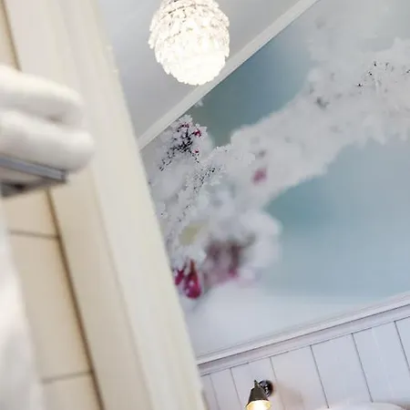 Hotell Erzscheidergaarden
