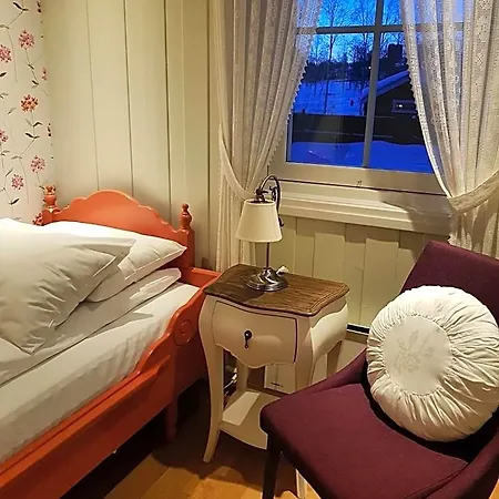 Hotell Erzscheidergaarden Røros