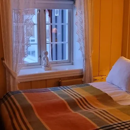 Erzscheidergaarden Røros