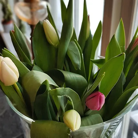 Erzscheidergaarden Røros